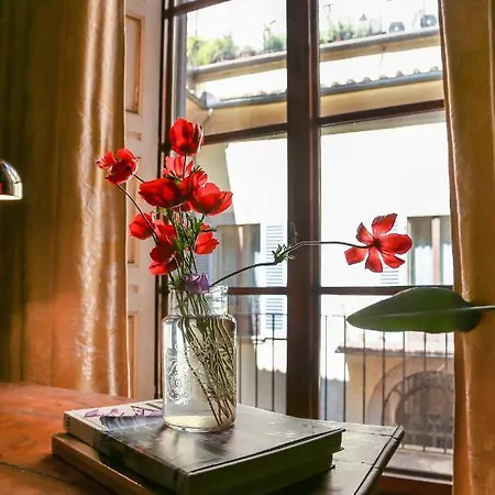 - The Slowcoach House *